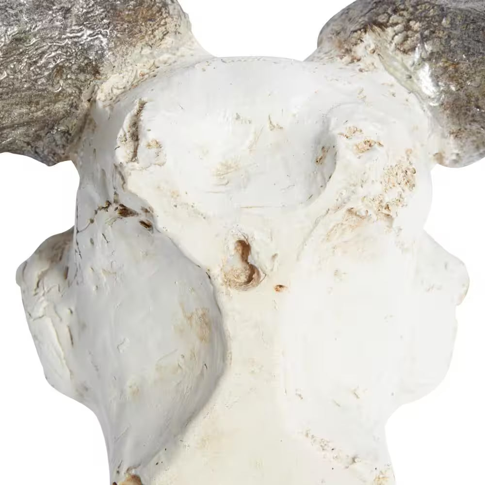 Polystone White Skull Cow Wall Decor
